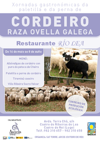uploads/9/news/xornadas-ovella-galega-mayo-junio-2014-rio-lea.png